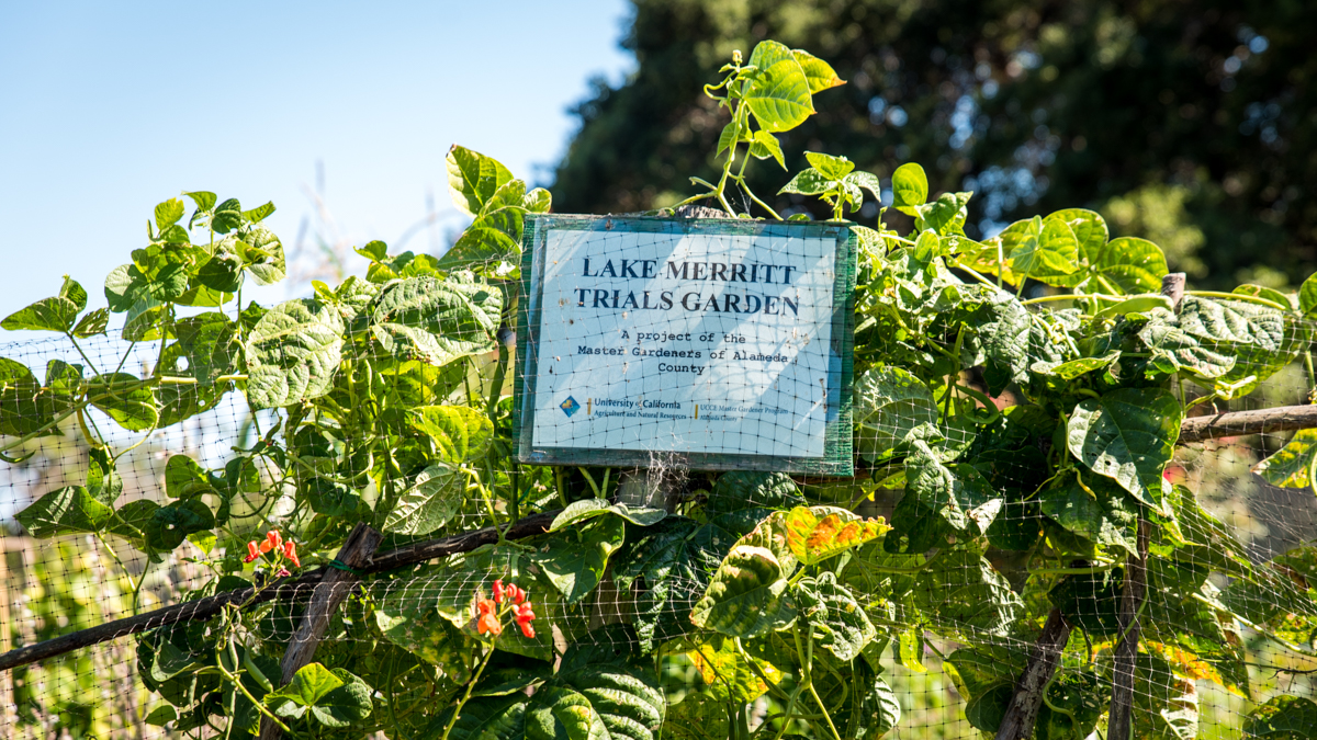 Lake Merritt Gardens