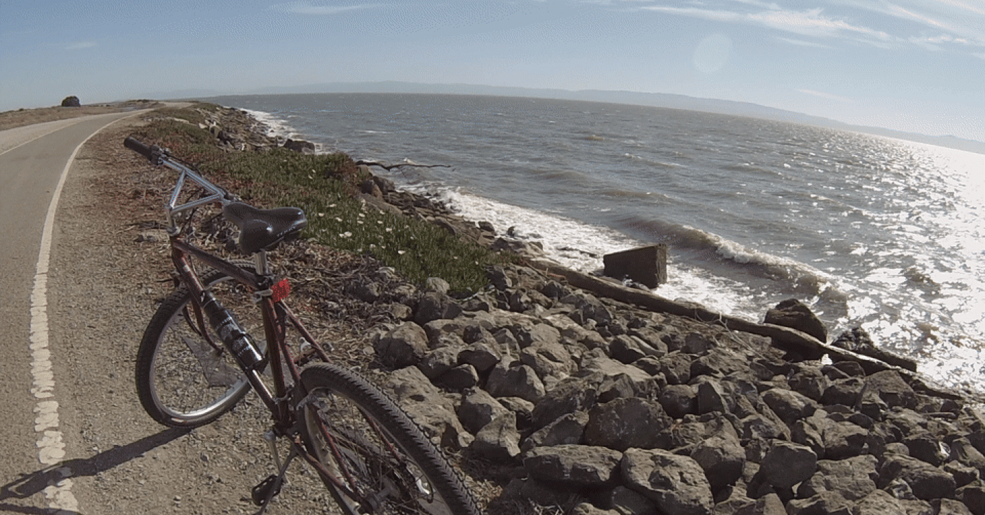 Biking the Bay: San Leandro Marina
