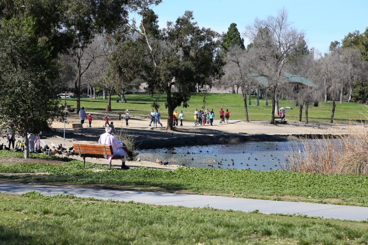 Pack a picnic at Fremont's Lake Elizabeth | BARTable