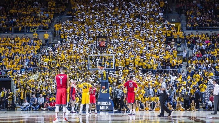 Fans at a Cal Bears basketball game