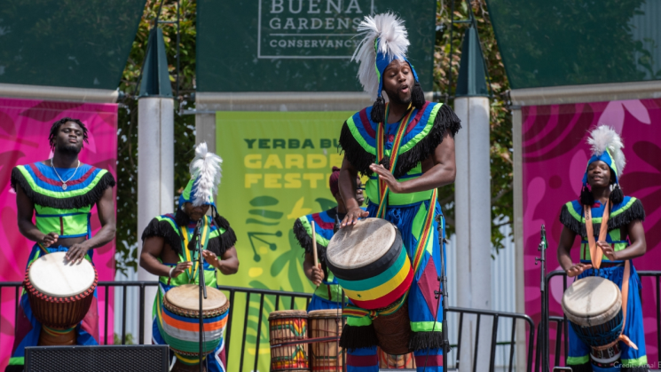 performers on stage during African Arts Festival