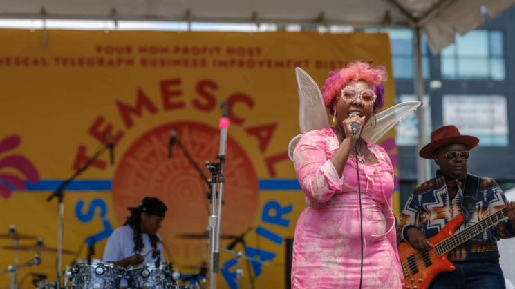 temescal street fair