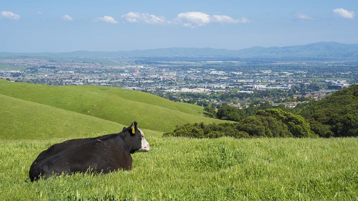 BARTable Walk: Dublin/Pleasanton to West Dublin/Pleasanton