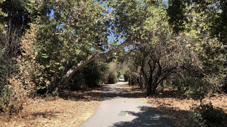 BARTable by bike: Berryessa Ridge Trail