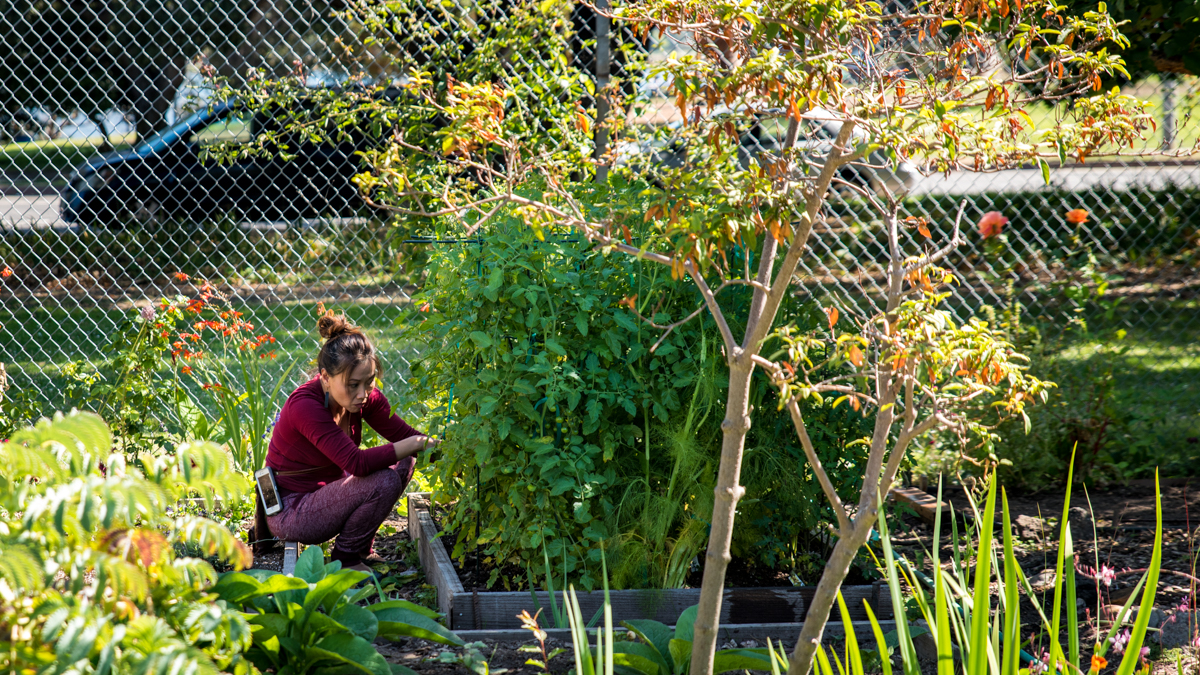 Community meets academia at Lake Merritt's garden