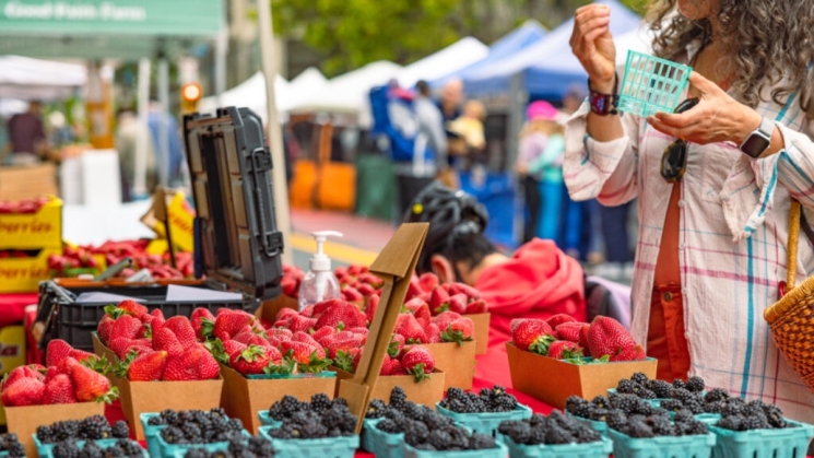 Top 10 BARTable bay area Farmers' Markets