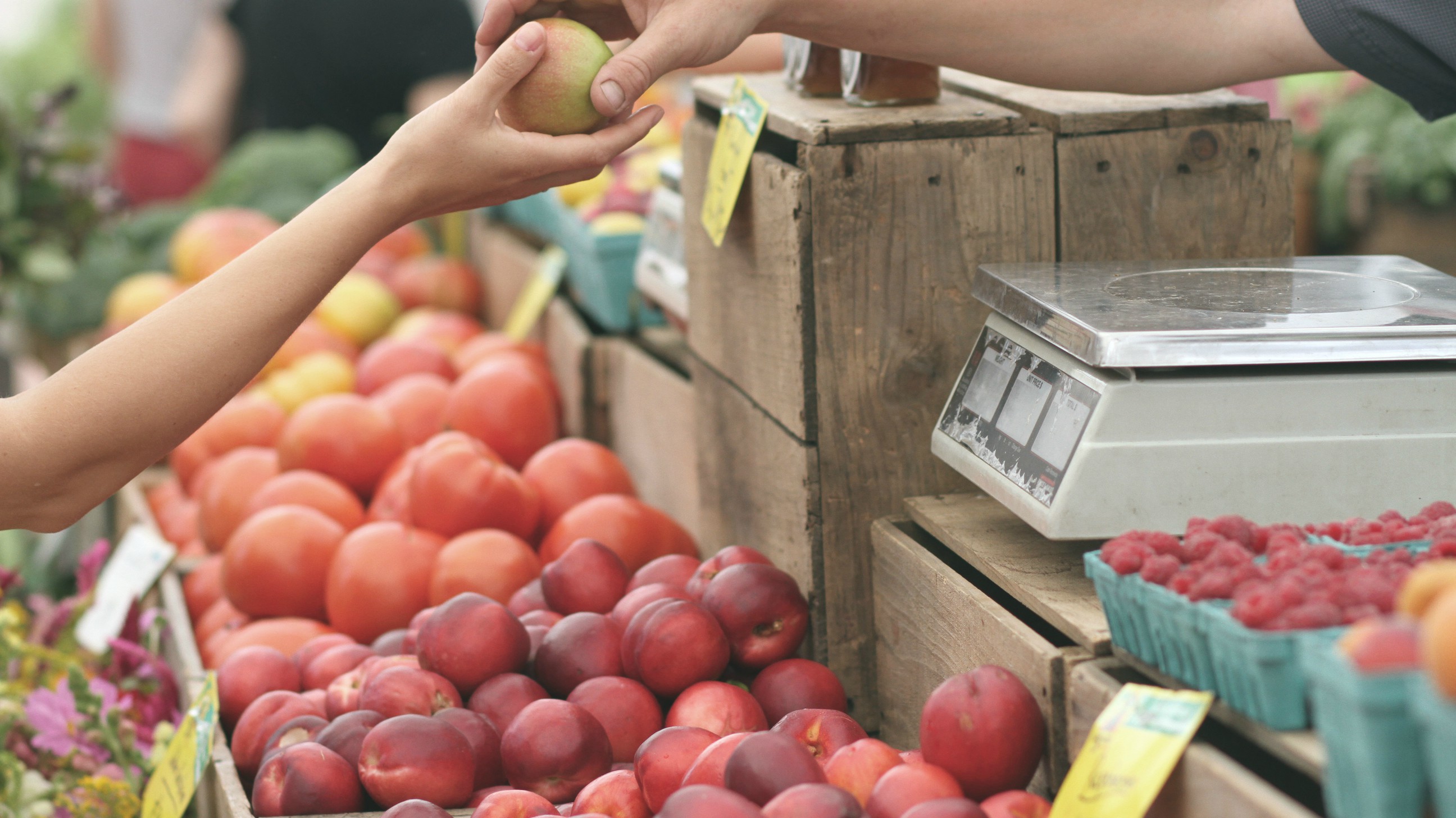 Contra Costa County Farmer's Market