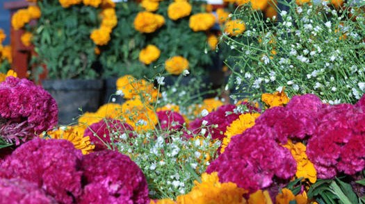 Kaiser Permanente Farmer's Market