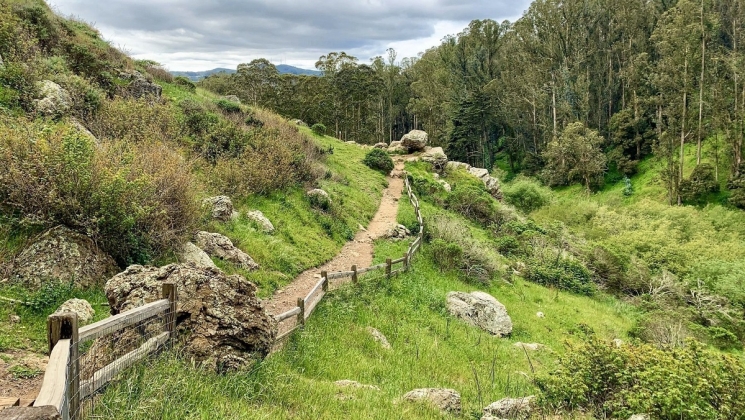 Yes we can-yon: Explore Glen Canyon Park