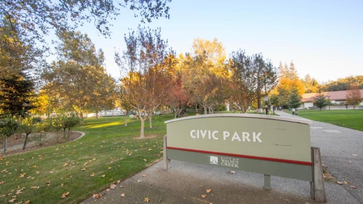 Civic Park. Photo courtesy of Walnut Creek Art and Rec. 