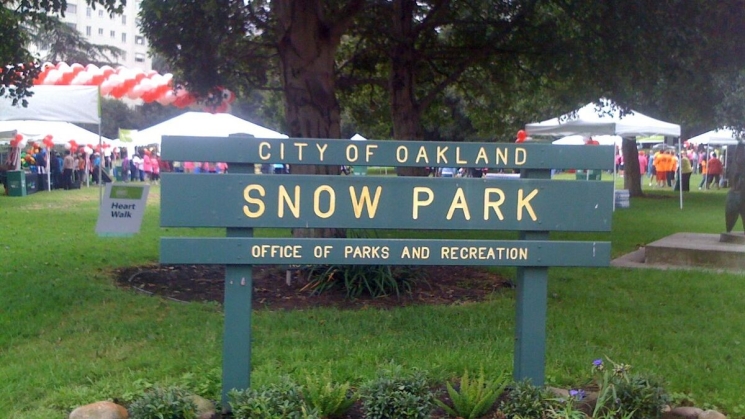 Snow Park. Photo courtesy of Do the Bay.