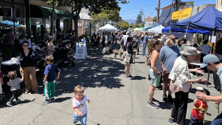 Vine Street Party. Photo courtesy of Berkeleyside. Credit: Jacob Cohen