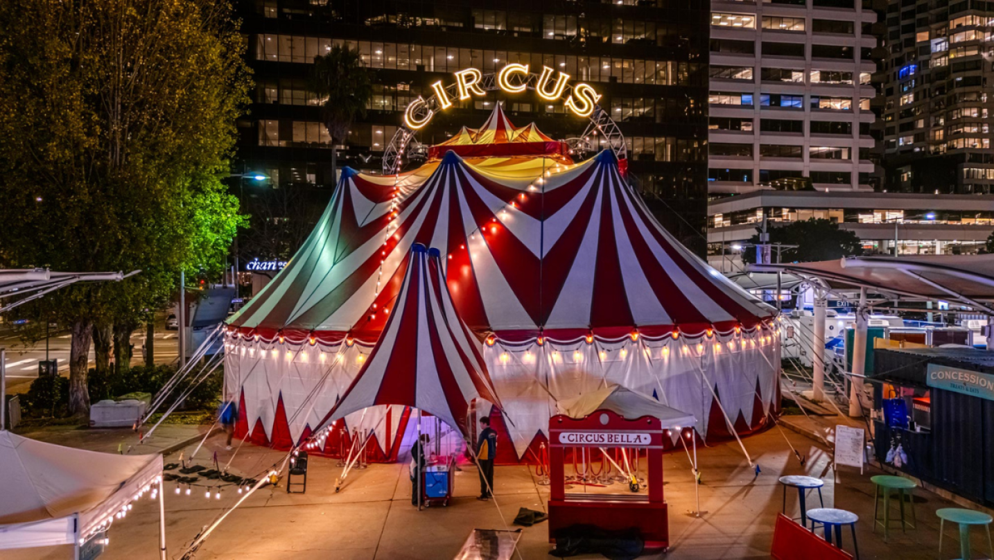 Get 15% off tickets to Circus Bella's "Starlight Circus Spectacular"