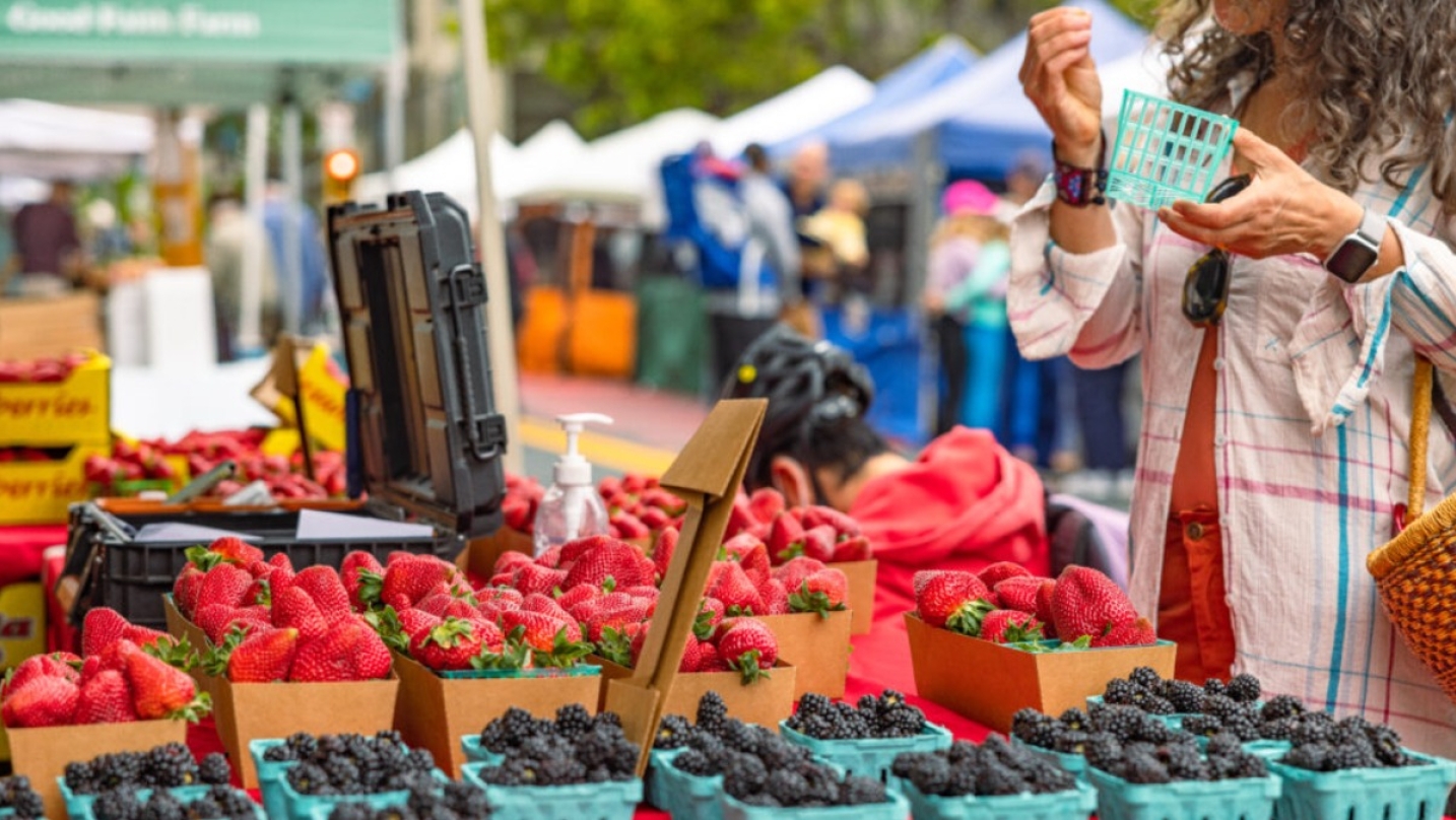Top 10 BARTable bay area Farmers' Market