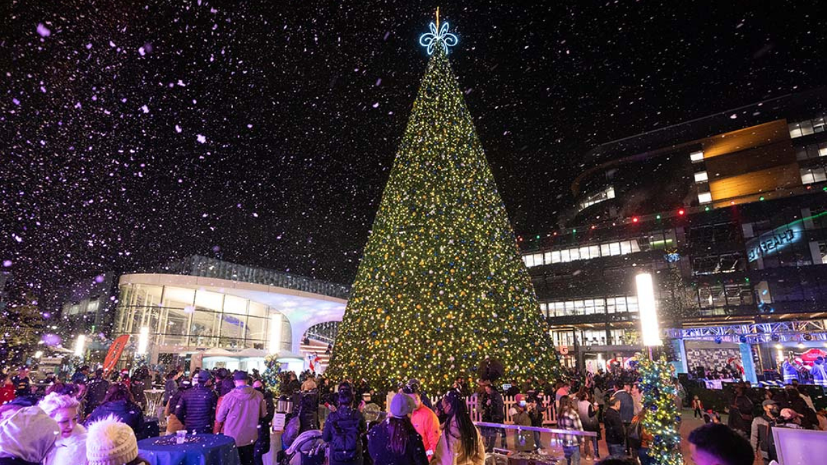 Thrive Center's Winter Wonderland