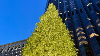 Check out the holiday lights display at 555 California St. in the heart of the Financial District. Photo courtesy of Downtown San Francisco. 