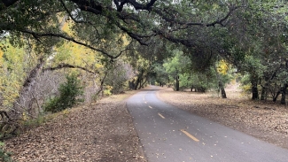 Explore the Coyote Creek Trail near Berryessa/North San Jose. Photo courtesy of Santa Clara Valley Bird Alliance. 