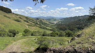 Don't forget to bring water on the moderate East Bay hike. Photo courtesy of AllTrails. 