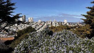 The gorgeous views are worth the climb on this stunning San Francisco urban hike. Photo courtesy of AllTrails. 