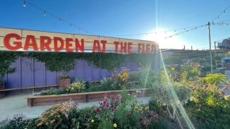 Enjoy live music and a cold drink in the sunshine at Garden at the Flea. Photo courtesy of Garden at the Flea.