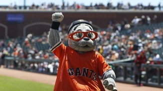 Giant's mascot, Lou Seal at Oracle Park. Photo courtesy of MLB.com