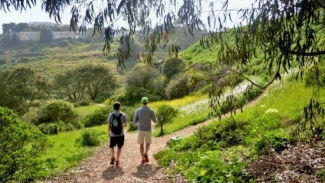 While hiking in San Francisco's Glen Canyon, you'll feel far from the hustle and bustle of the city. Photo courtesy of San Francisco Recreation and Parks. 