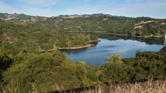 A quick stroll from Lafayette Station and you'll arrive at the gorgeous Lafayette Reservoir. Photo courtesy of EBMUD.