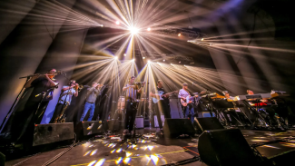snarky puppy