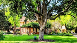 Shinn Historical Park and Arboretum. Photo courtesy of Tripadvisor. 