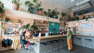 Sip beers and share snacks in this bright, plant-filled microbrewery. Photo courtesy of Rose's Taproom.