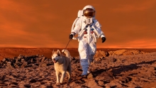 Win tickets to the Exploratorium & "Life in Space"
