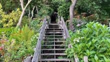 Hiking the Filbert Street Steps to Coit Tower is one of the best urban hikes in the Bay Area. Photo courtesy of SFGATE (Matt Charnock). 
