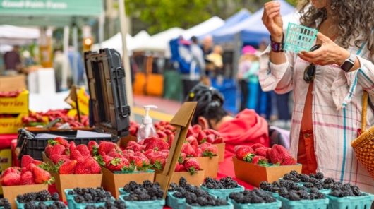 Top 10 BARTable bay area Farmers' Market