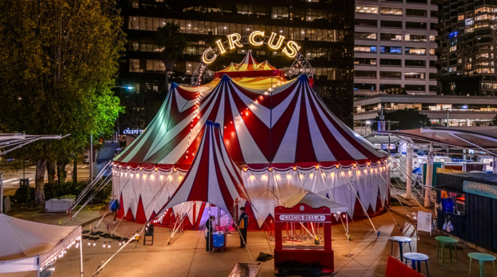 Get 15% off tickets to Circus Bella's "Starlight Circus Spectacular"