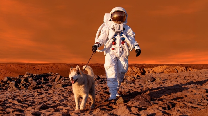 Win tickets to the Exploratorium & "Life in Space"