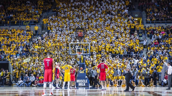 Fans at a Cal Bears basketball game